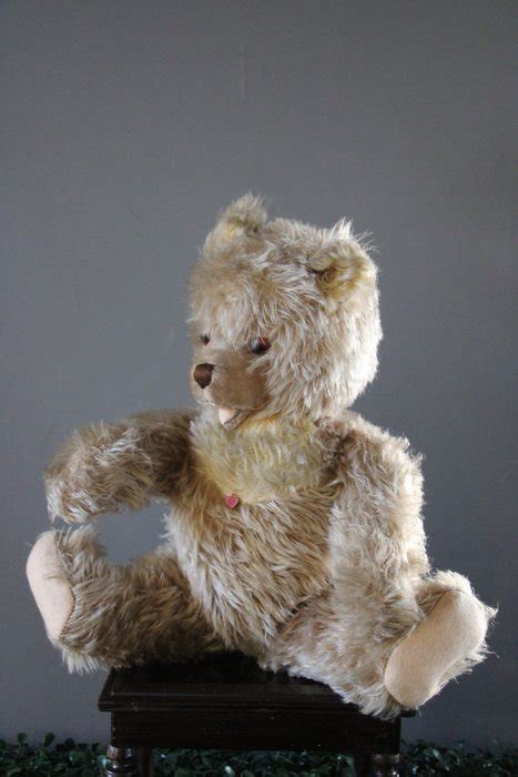 Berg Oostenrijk Vintage Teddy Bear Zotty 1950 1959 Catawiki