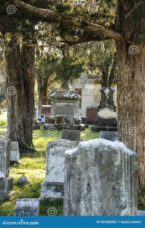 Peaceful Graveyard Stock Image Image Of Life Peaceful 56508085