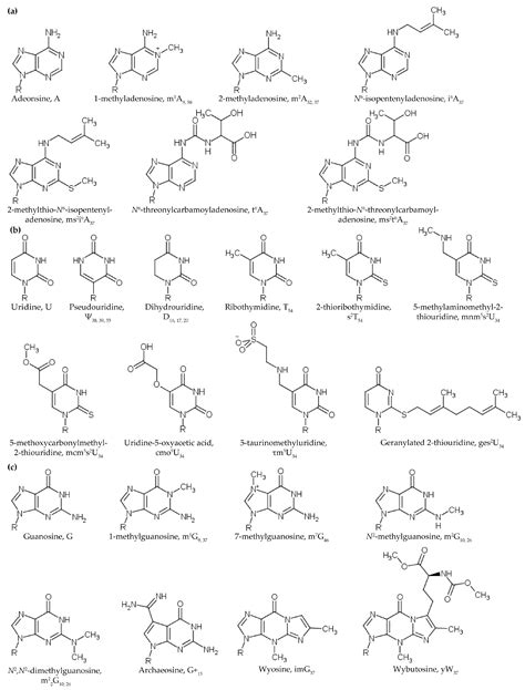 Biomolecules Free Full Text Chemical And Conformational Diversity Of Modified Nucleosides