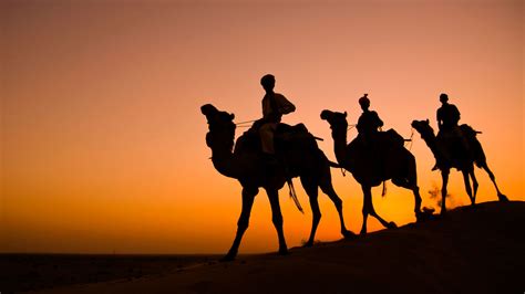 Reasons To Visit Royal Rajasthan