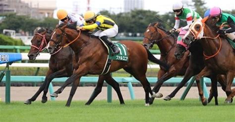 【2023 京成杯ah（g3）】日刊馬番コンピ指数分析予想篇｜haya