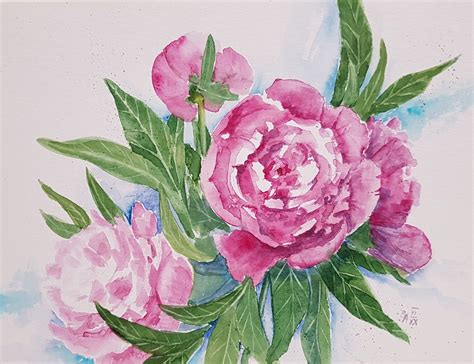 Pfingstrose Aquarell Von Brigitta M Arnold Pfingstrosen Bl Ten