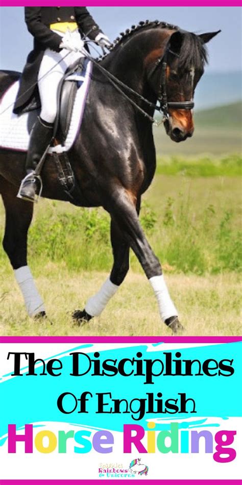 The Disciplines Of English Horse Riding English Riding Horse Riding