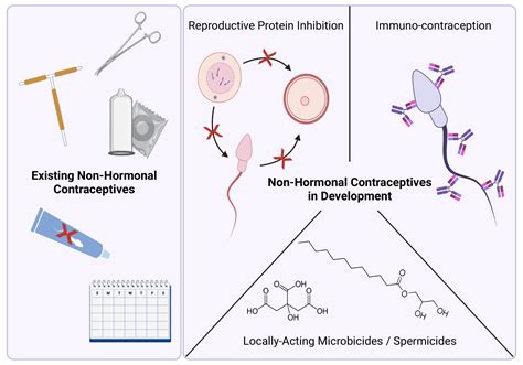 Jcm Free Full Text Non Hormonal Contraception