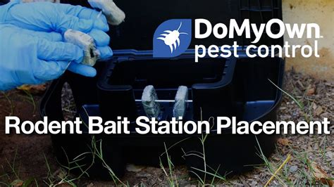 How To Place Outdoor Rodent Bait Stations DoMyOwn YouTube