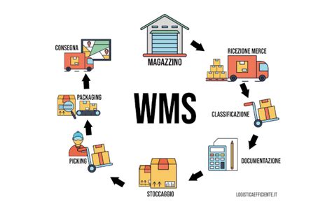 Wms Warehouse Management System Logistica Efficiente