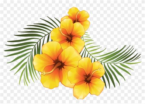 Yellow Hibiscus Flower Vector Royalty Free Download Tropical Flowers