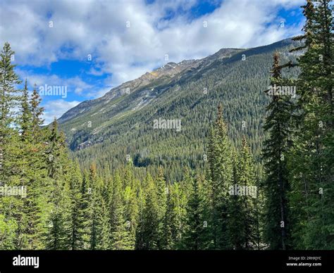 The mountain where the Spiral Tunnels for trains was built in Yoho National Park near Field ...