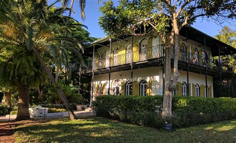 Hemingway Museum S Six Toed Cats Purr Fectly Fine After Irma Blooloop