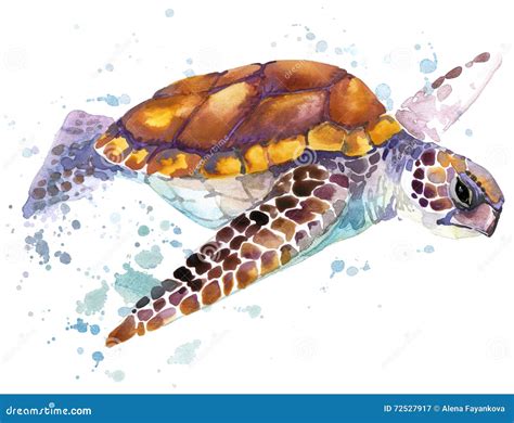 Tortue De Mer Illustration Daquarelle De Tortue De Mer Mot Sous Marin