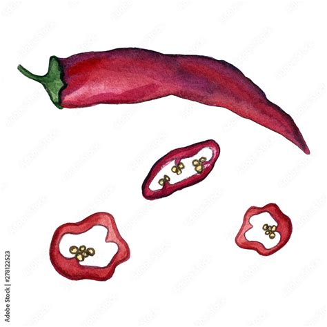 Red Hot Chilli Peppers Set Hand Drawing Watercolor Can Be Used For Postcards Stickers