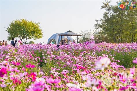 마포구에서 하늘과 가장 가까운 곳 하늘공원