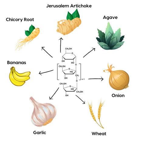 Your guide to: Inulin and its benefits | Landys Chemist