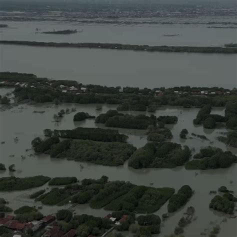 Un Environment Programme Asia Pacific On Twitter Building With Nature