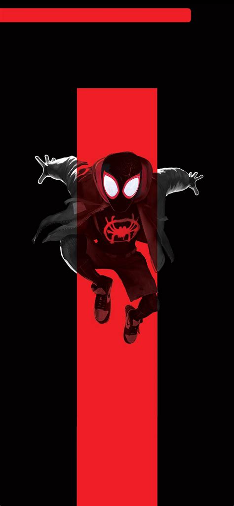 spider man into the spider verse iPhone Wallpapers Free Download