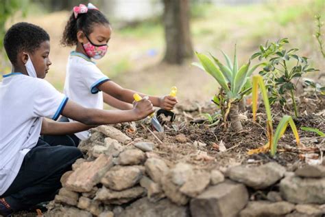 Escola Vocacionada Socioambiental de Barra Mansa é finalista em