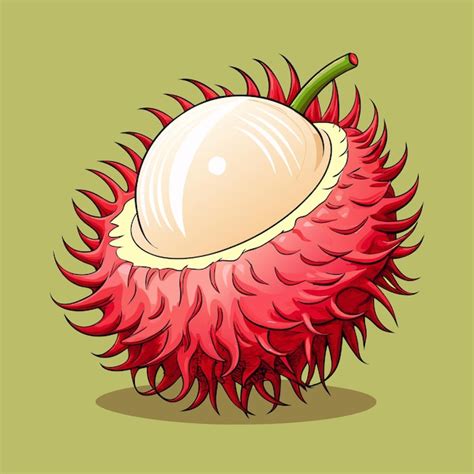 Rambutan Fruit Vector Drawing Artwork Premium AI Generated Vector