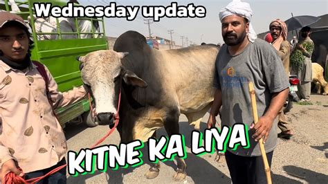 Wednesday Update Kitne Ka Liya YouTube