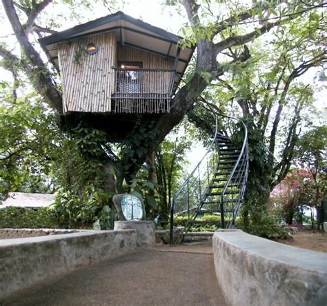 Tree House Pete Nelson The Treehouse Guy Pondly Tree House