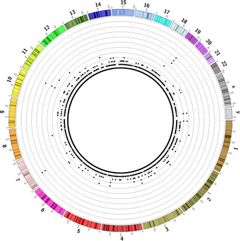 Circos Plot Of Distribution Of Integration Events Throughout Yh Genome Download Scientific