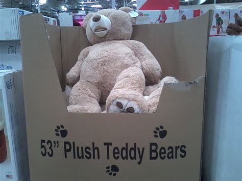 Giant Teddy Bear Costco