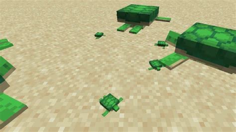 Tortugas En Minecraft C Mo Domesticar Criar Y Obtener Escudos