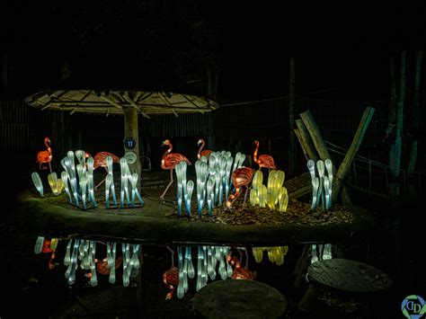 Ouwehands Dierenpark Lightnights Divingdevil