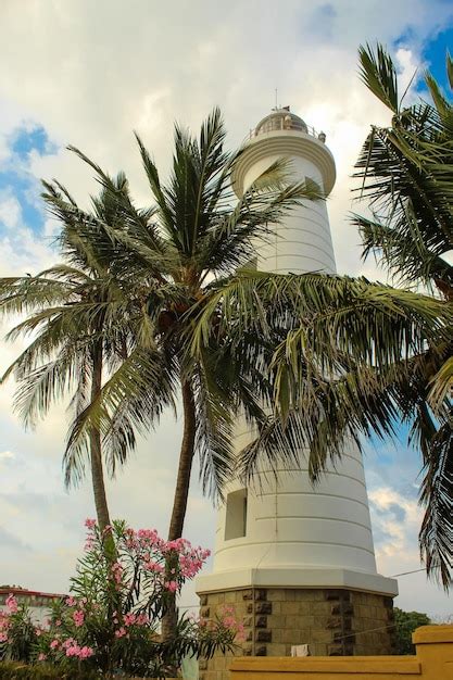 Premium Photo White Lighthouse And Tropical Palms Galle Fortress Sri