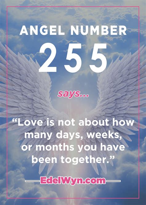 Angel Number Spiritual Meaning Daily Spiritual Guide