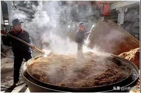 零基礎學釀酒白酒釀造全過程