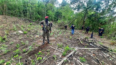 Ejército Guatemala on Twitter Unidades del EjércitoGT MINDEF