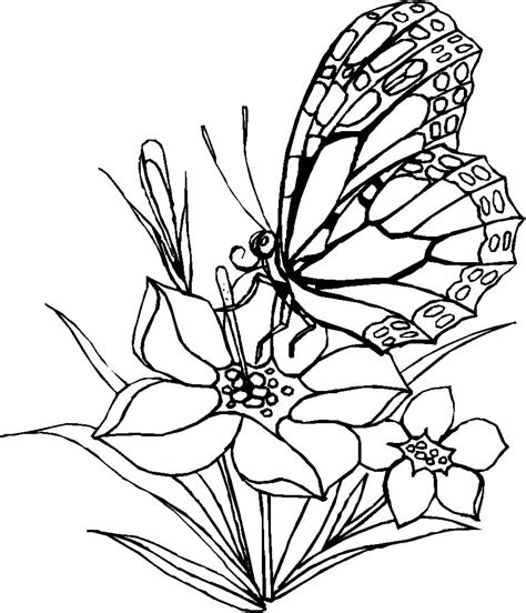 Coloriage Un Papillon avec Une Fleur télécharger et imprimer gratuit