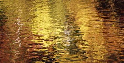 Shimmering Pond Divine Nature Picturesque Gold Art