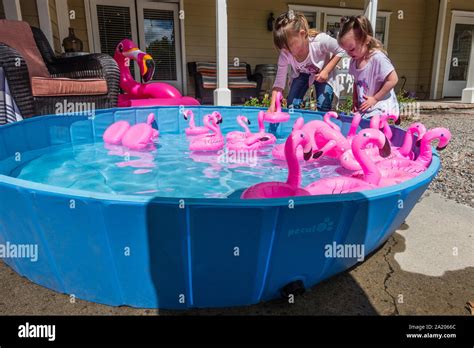 An Above Ground Blue Plastic Swimming Pool Full Of Plastic Pink