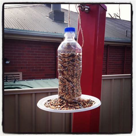 Easy Homemade Bird Feeder Ideas