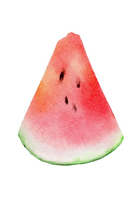 Watermelon Watercolor Clip Art 9890709 Png