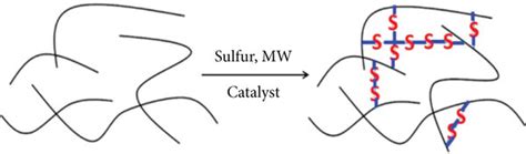 Reaction scheme of the rubber vulcanization. | Download Scientific Diagram