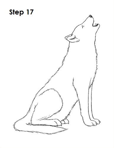 How To Draw A Wolf Howling