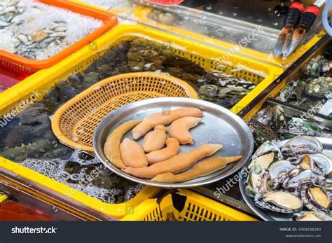 2 Penis Fish Fat Innkeeper Worm Raw Seafood Jagalchi Fish Market Busan