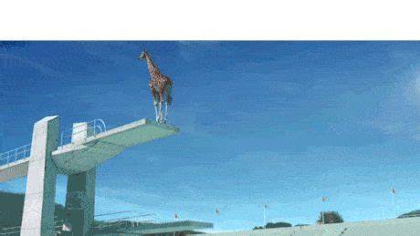 Enough internets for today - GIF | Funny gif, Random gif, Funny pictures