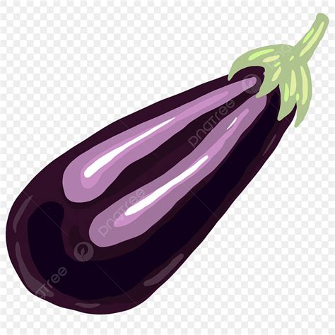 Vegetable Purple Eggplant Illustration Eggplant Clipart Vegetables