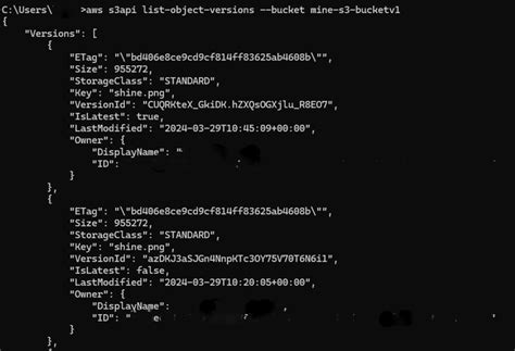 Amazon S Versioning Using Cli Geeksforgeeks