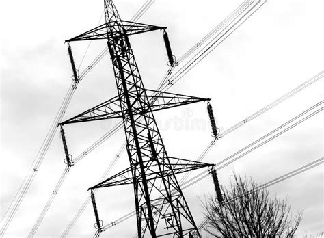Electric Distribution Lines Stock Photo Image Of Electrical Network