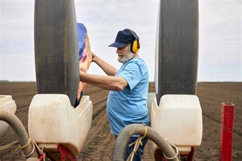 Bearded Mature Male Farmer Pouring Corn Seeds In Container Of Tractor