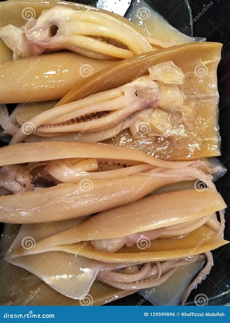 Fresh Cuttlefish Seafood Market Stock Photo - Image of meal, cuttlefish