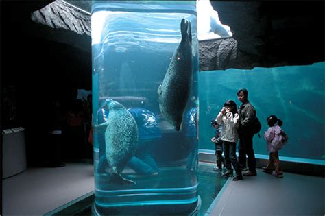 旭川市旭山動物園｜WEB水族館