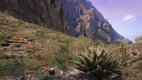 Image Peyote Plants Gtave 04 Mt Chiliadnorth View  Gta Wiki Fandom Powered By Wikia