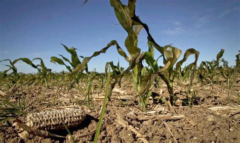 La Sequ A En Las Provincias Argentinas Golpea Al Campo Y Preocupa A Los