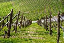 Quanto Costa Comprare Terreno Agricolo Con Tasse Notaio E Tutte Le