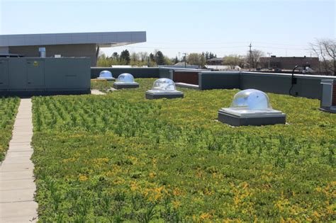 Liveroof Green Roof Systems Natural Function Natural Beauty